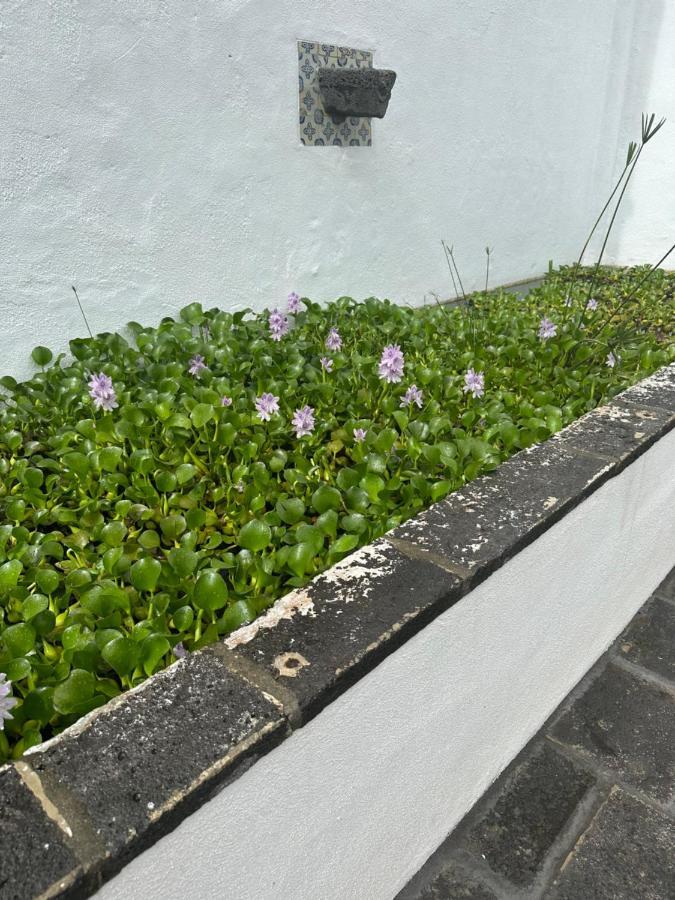 Vila Solar Nossa Senhora Da Conceicao Capelas Exteriér fotografie