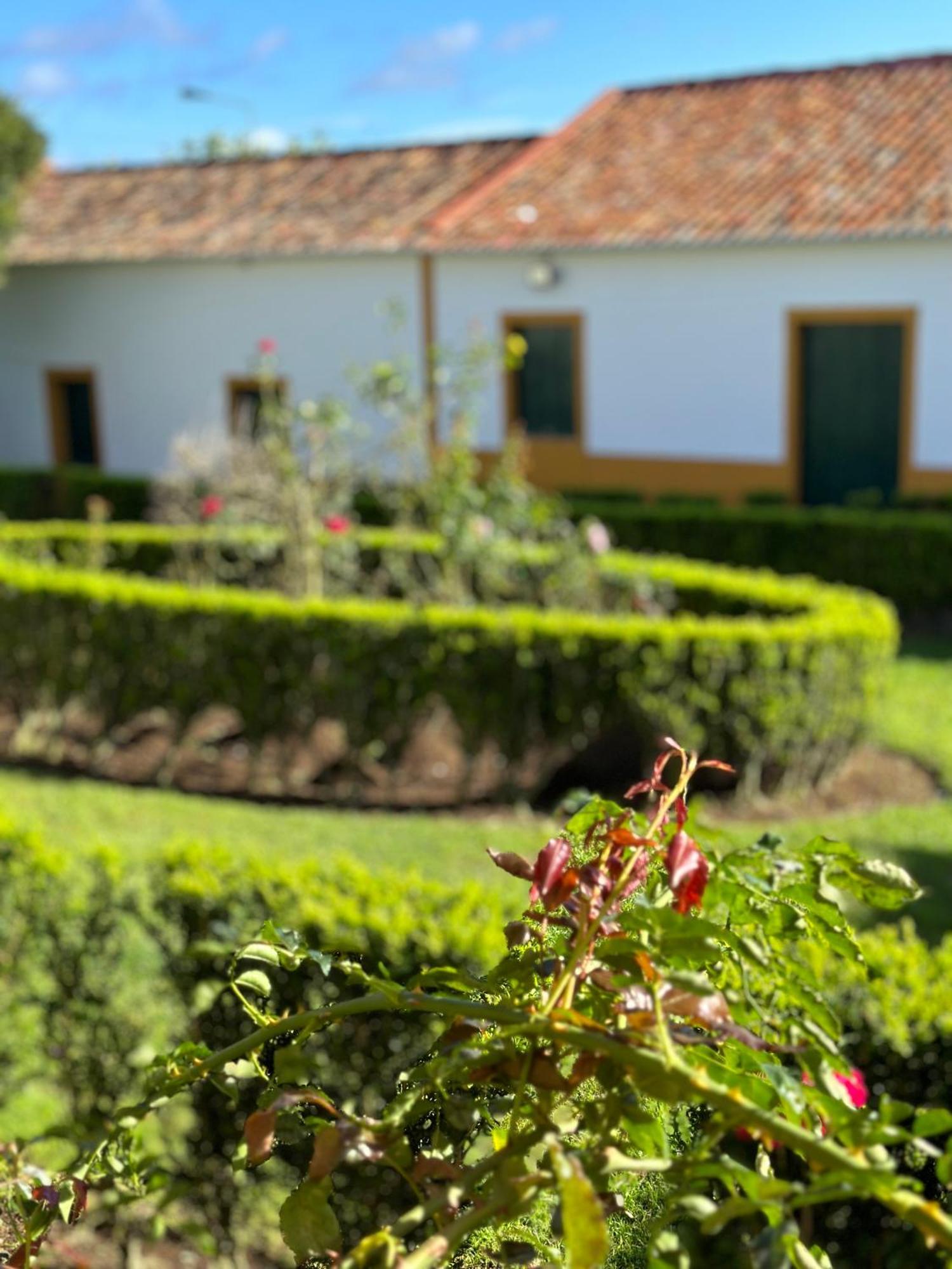 Vila Solar Nossa Senhora Da Conceicao Capelas Exteriér fotografie