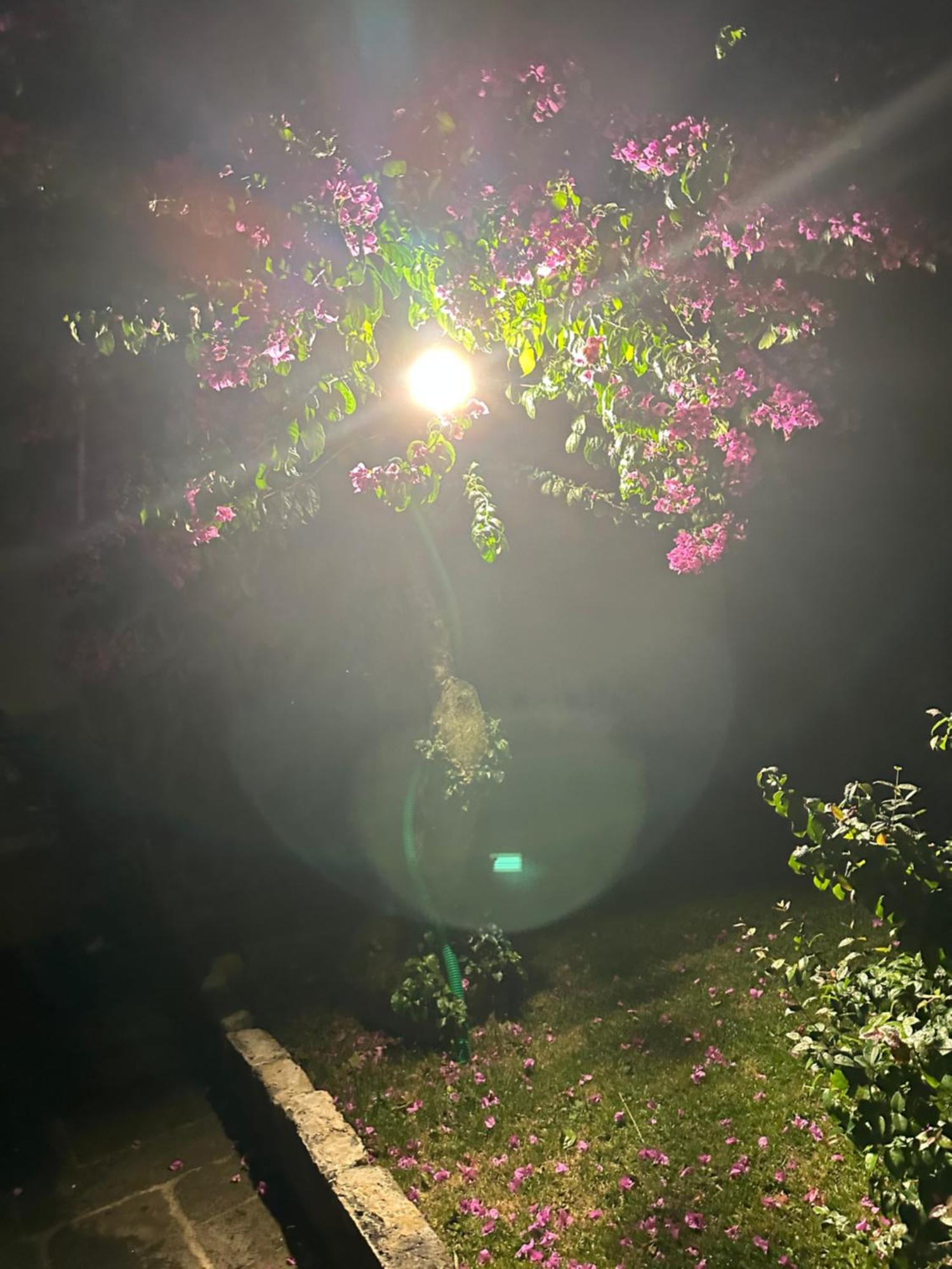 Vila Solar Nossa Senhora Da Conceicao Capelas Exteriér fotografie